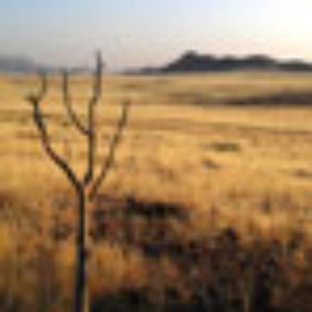 A & M Pizza Restaurant